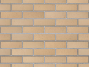 Golden Buff Thin